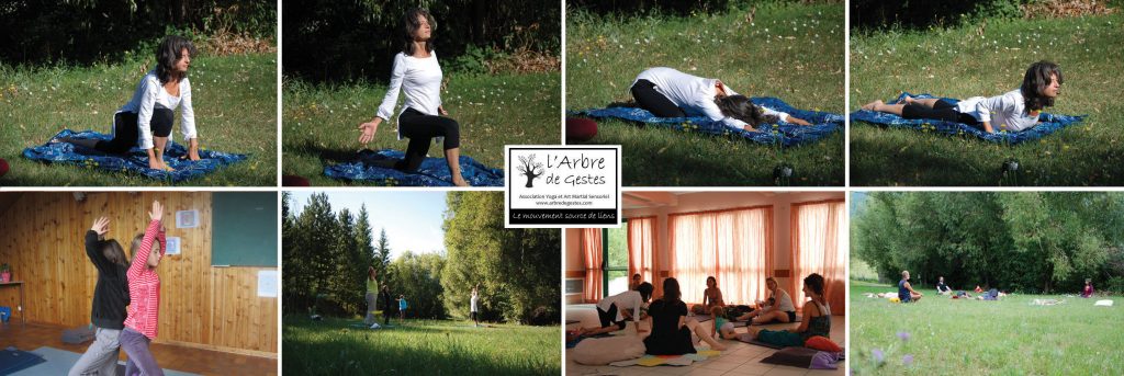 Yoga, Arbre de Gestes, Guillestre, Queyras, Vallouise